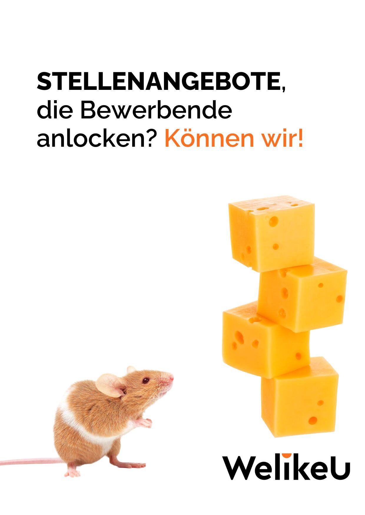 Stellenprofil-Check-Bewerbende-anlocken